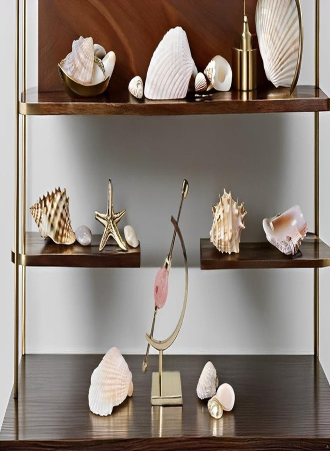 Clearco Sphere Coin Display Stand, Caliper Style Mineral Display Stand For Minerals, Ornaments, Gems, Shells, Coins, Spheres, Artifacts, etc., Brass, 6 inches - Image 5
